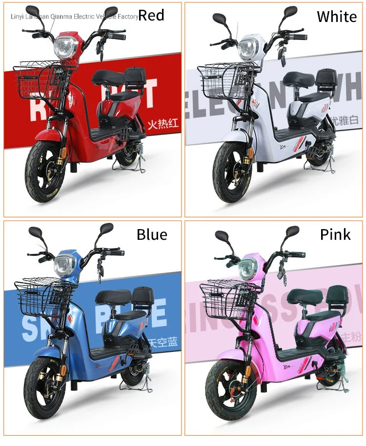 Adult Electric Bike for Sale China Factory