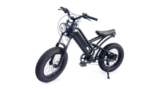 20*4.0 지방 타이어 남성 산 및 통근용 알루미늄 프레임 전기 자전거 E-자전거 Ebike